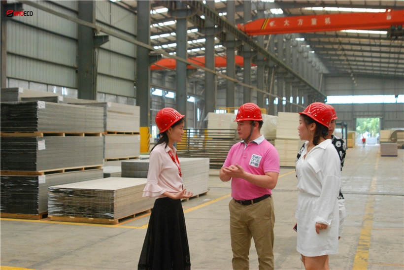 <b>Sudan Power Station Project Choose Rock Wool Sandwich Panel of BRD</b>